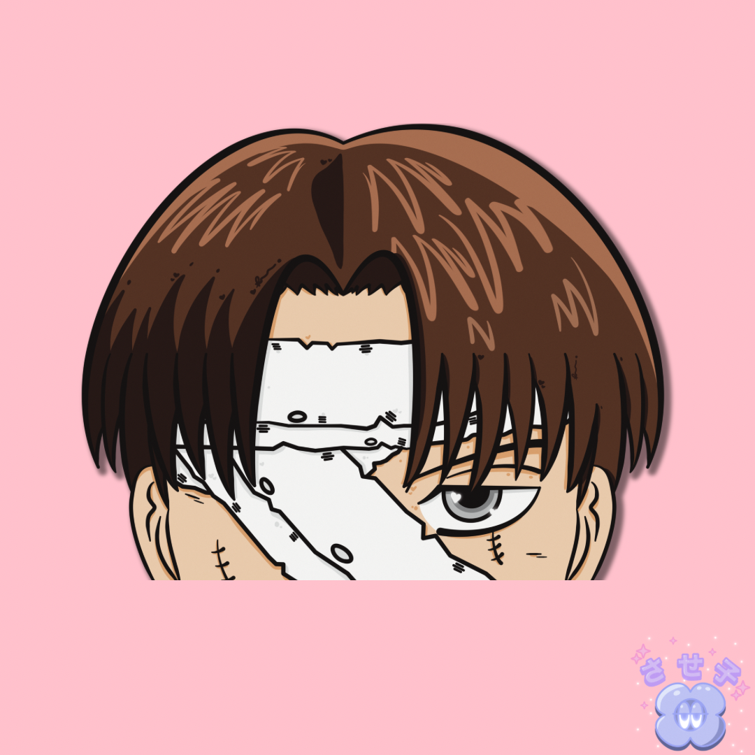 Levi