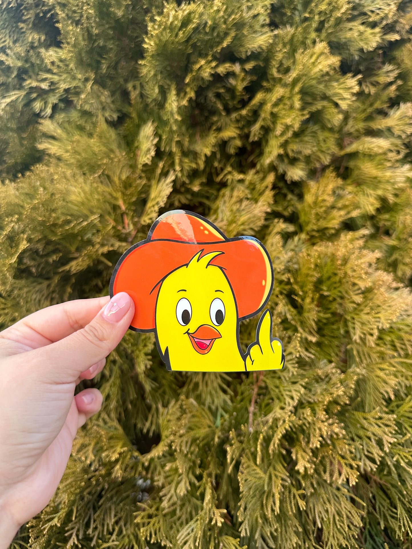 Pollo Campero